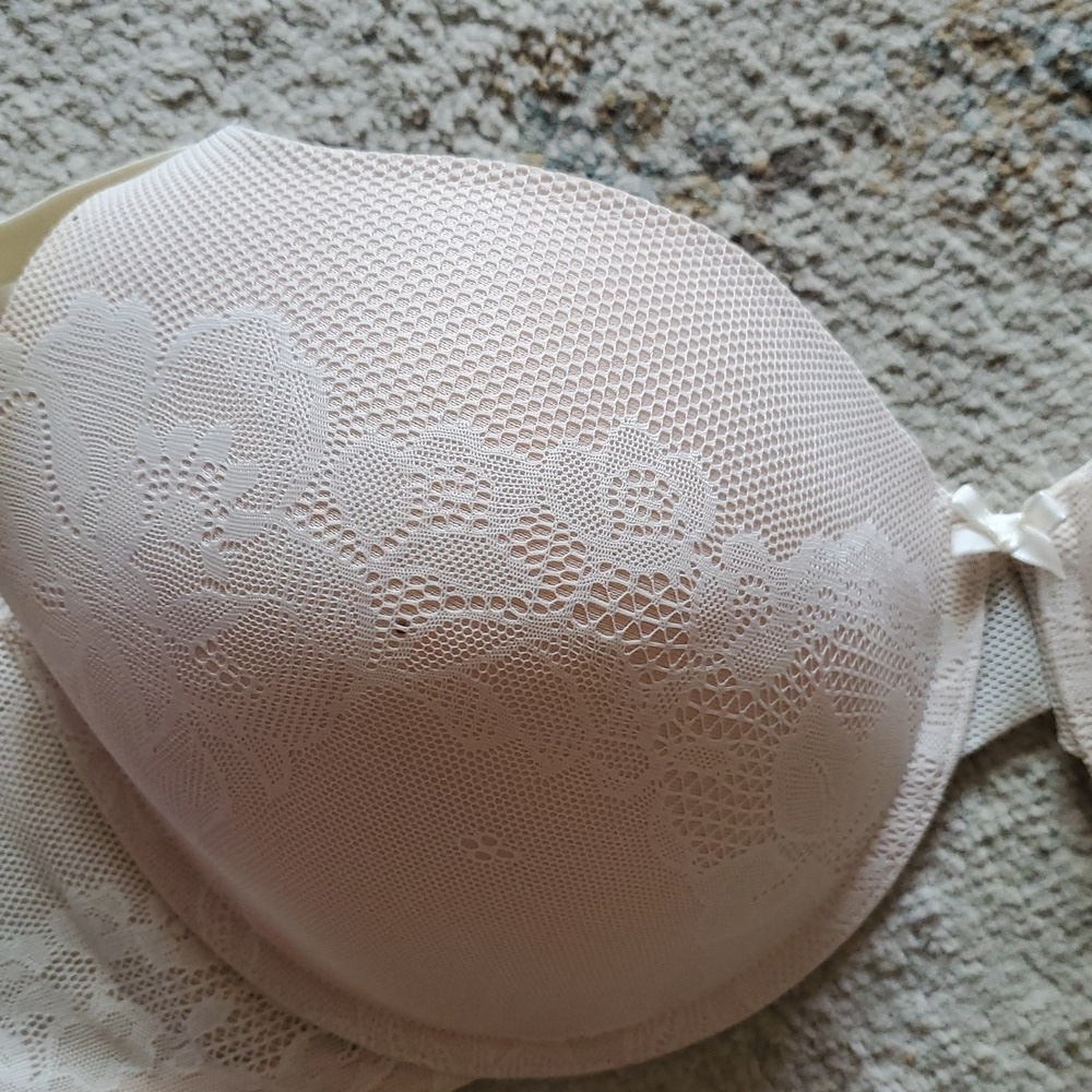 Gillian & O'malley Elegant Cream Lace Bra Size 40C - Picture 2 of 8